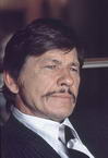 Charles Bronson photo